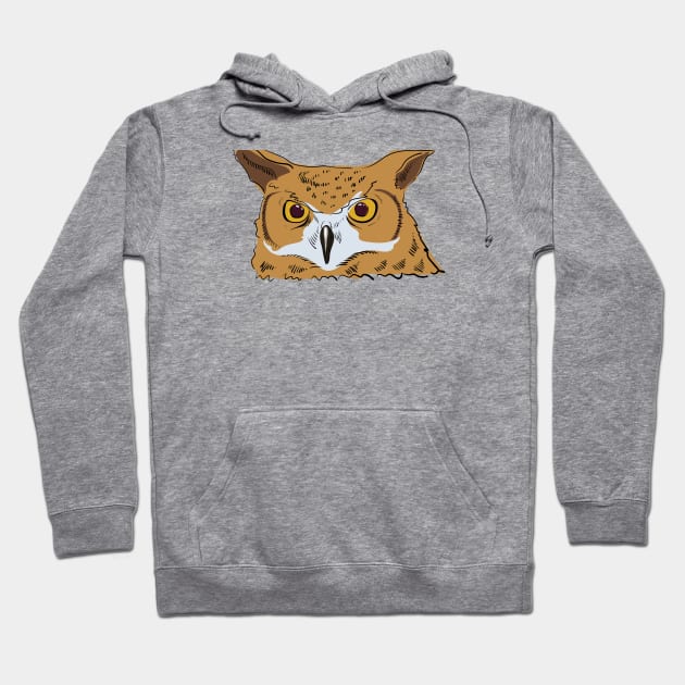 Angry owl Hoodie by Catdog